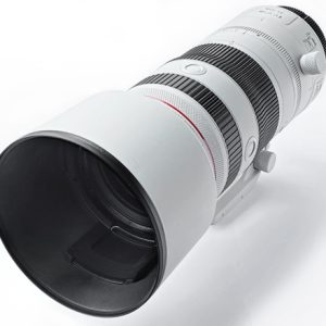 Canon RF 70-200mm f/2.8L hire brisbane